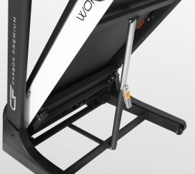 Carbon Fitness World Runner T2