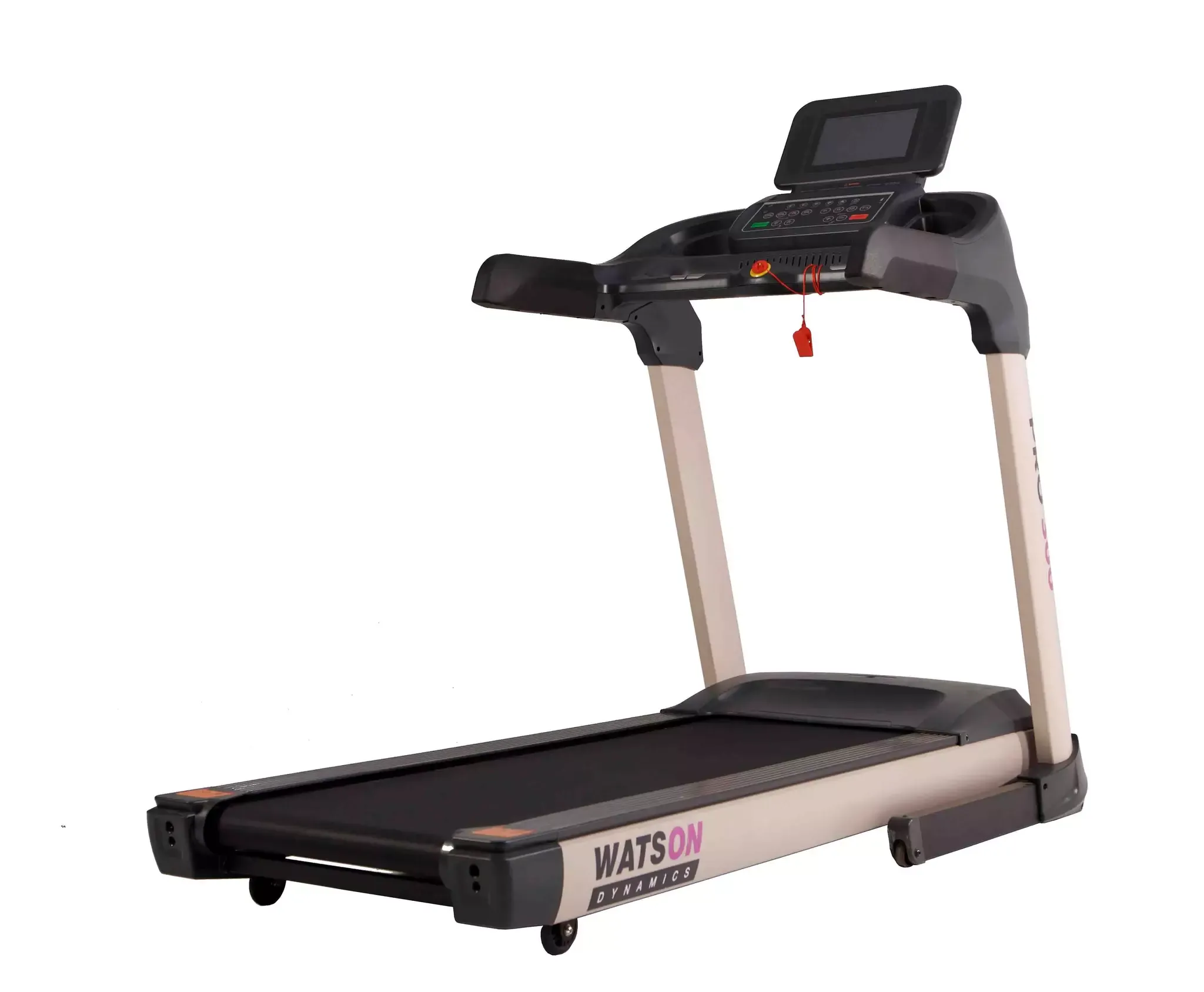 Беговая дорожка Watson Dynamics Pro 300 TFT