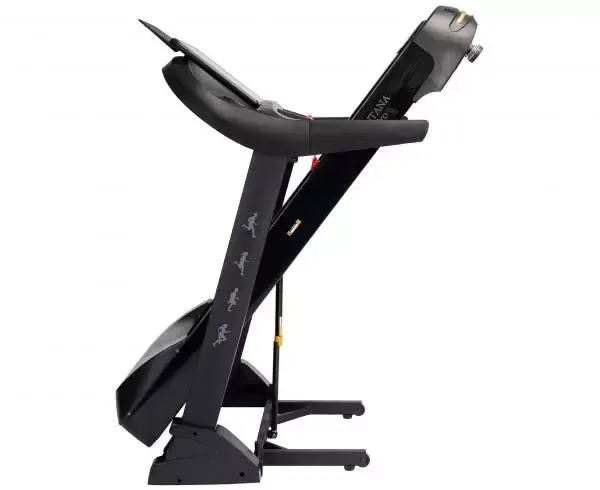 Беговая дорожка DFC Santanan Pro T757