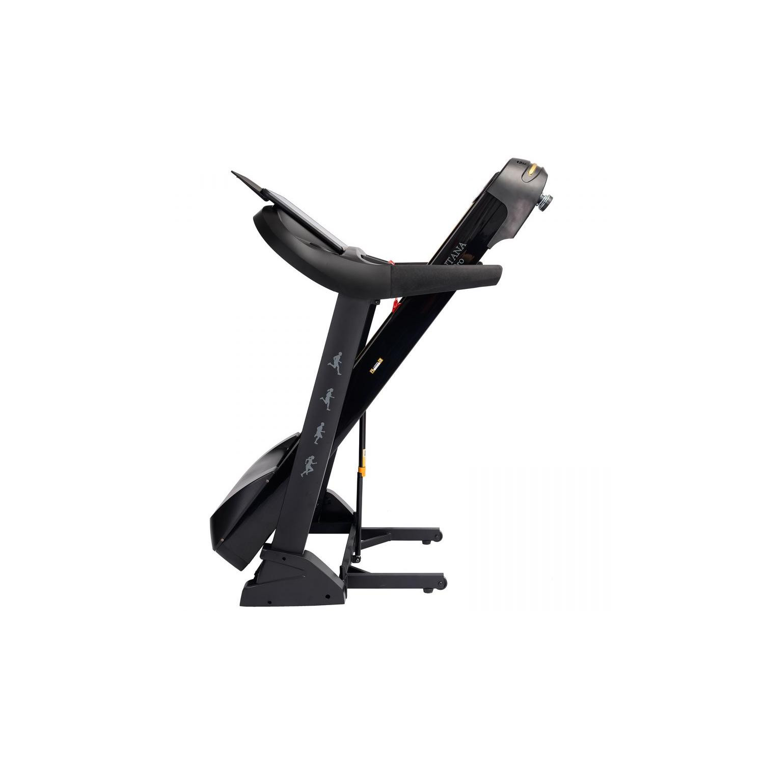 Беговая дорожка DFC SANTANA Pro T757