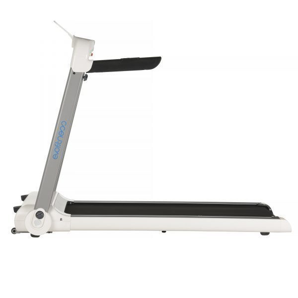Evo fitness delta