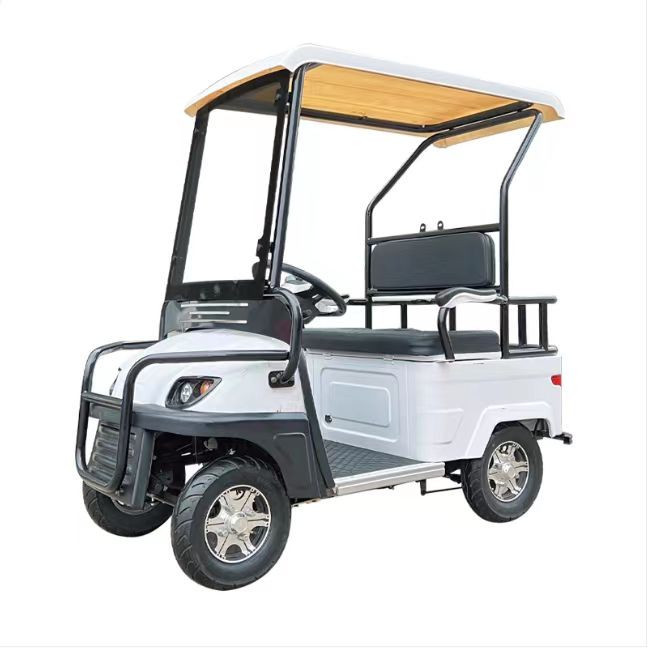 Гольфкар GreenCamel A2 ECO (2 seats 800W R8) пониженная